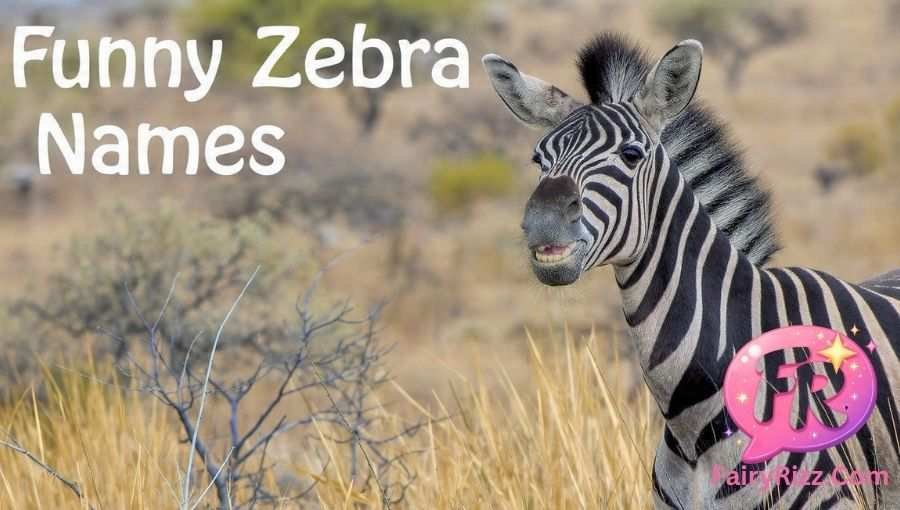 Zebra Names