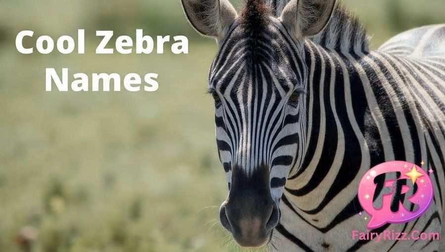 Zebra Names