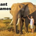 Elephant Nicknames