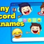 Funny Discord Nicknames