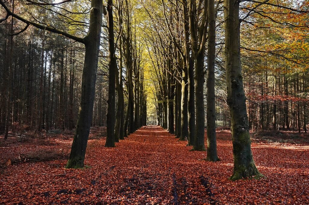 Autumn Pick Up Lines
