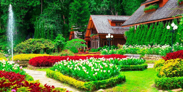 350+ Garden Pick Up Lines Funny, Cute Flirts