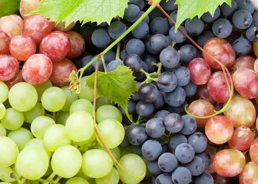 Grapes Pick Up Lines