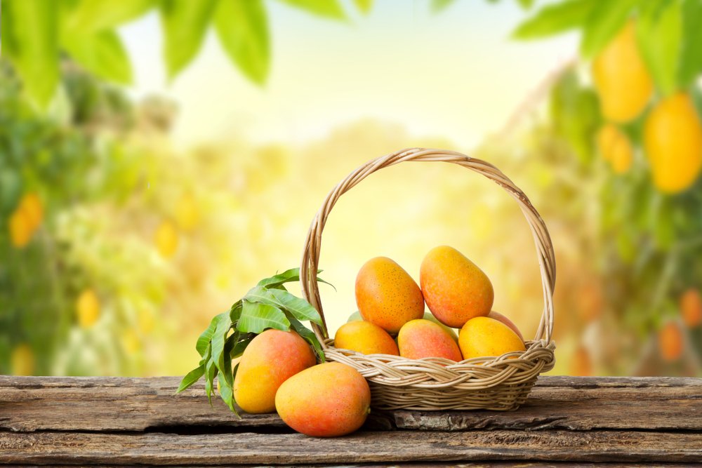 Mango Pickup Lines