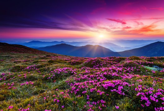 400+ Nature Pick Up Lines: Funny & Romantic Lines
