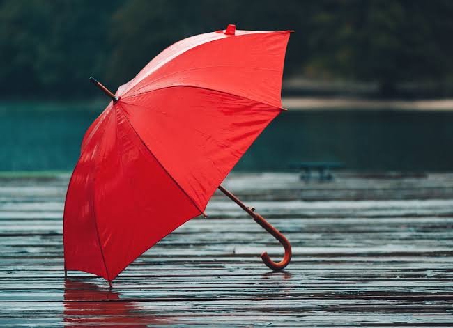 Umbrella Pick Up Lines